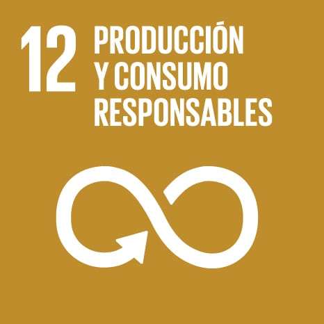 12_sustainable-consumption-production