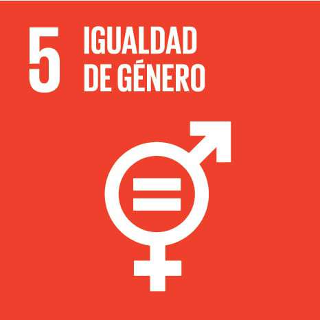 5_gender-equality