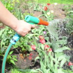 ahorrar agua en el jardín