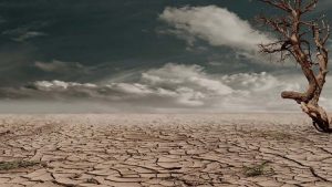 El futuro del agua en el mundo de 2050 - Fundación Aquae