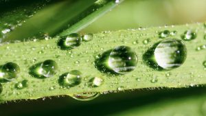El futuro del agua en el mundo de 2050 - Fundación Aquae
