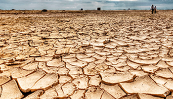 Impacto de la sequía en la agricultura