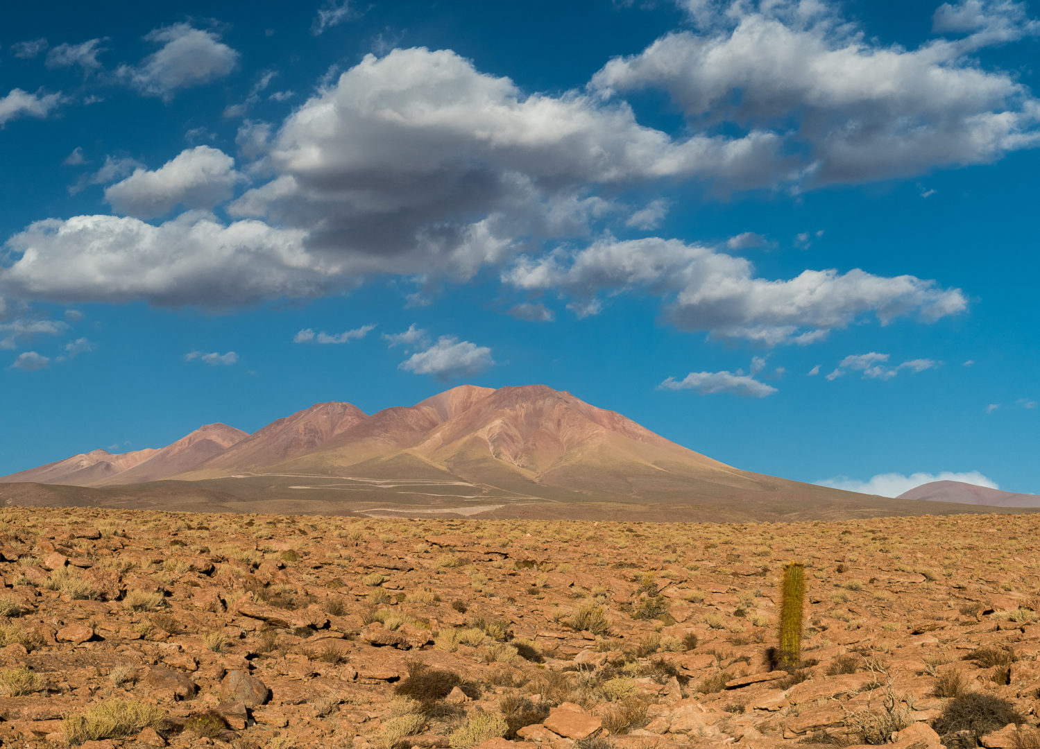 Desierto de Atacama, el más árido del mundo - Fundación Aquae
