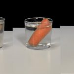 Experimenta el proceso de ósmosis en zanahorias