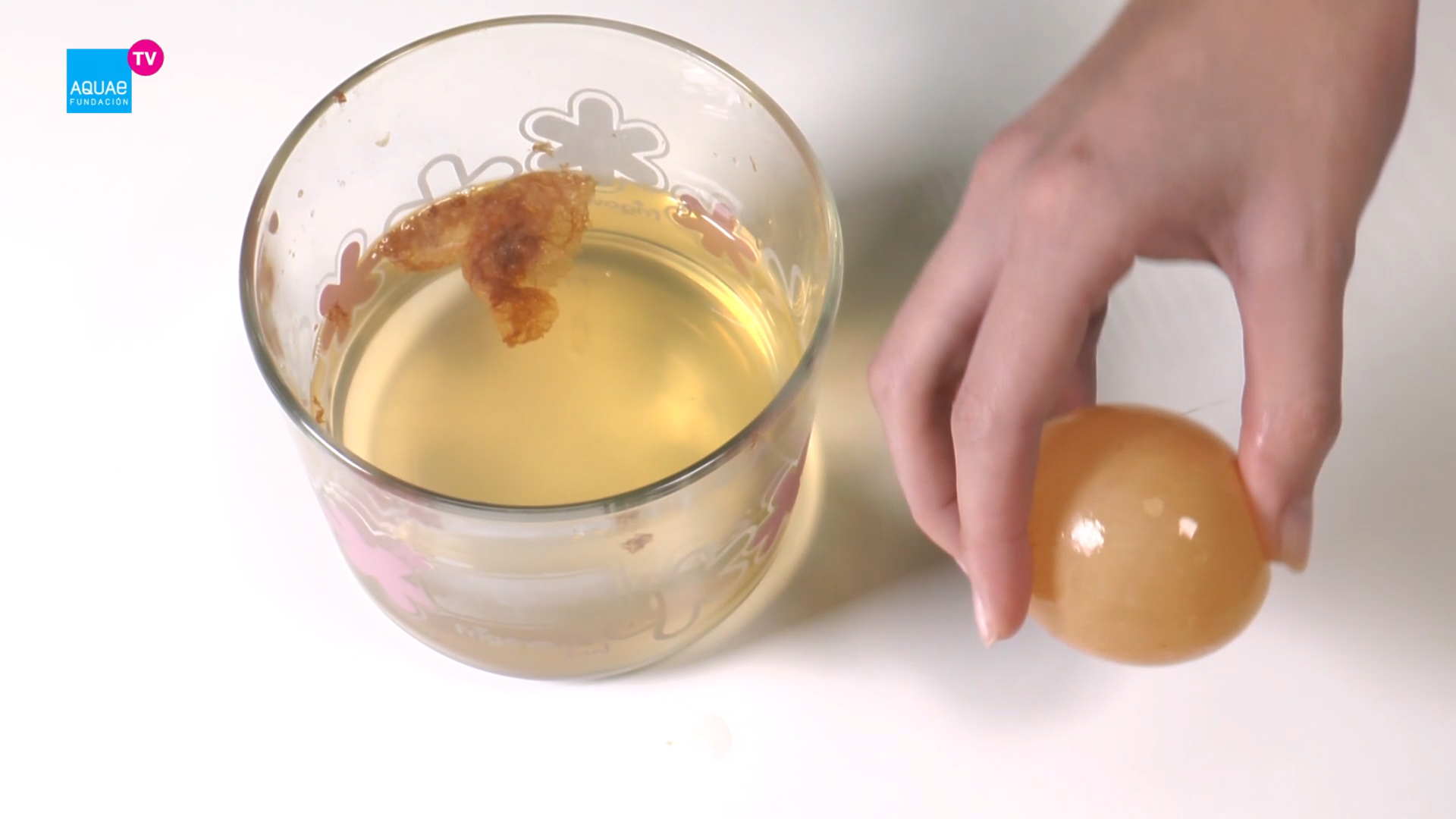 Qué pasa si metes un huevo en un vaso con vinagre?
