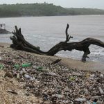 La Cumbre Mundial del Océano persigue un sueño que deberíamos tener todos: acabar con los residuos plásticos de las aguas de nuestros mares
