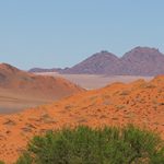 El desierto de Namibia, el desierto africano más peculiar