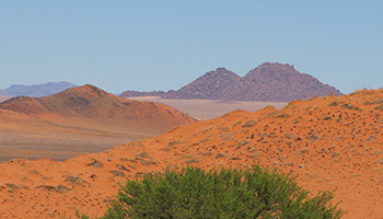 El desierto de Namibia, el desierto africano más peculiar