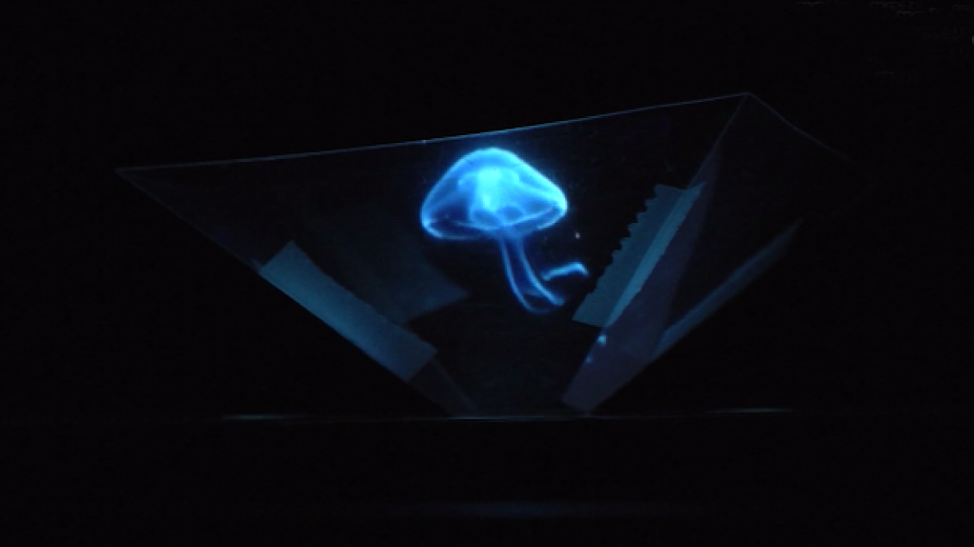 Cómo crear un holograma casero? - Fundación Aquae