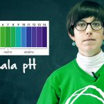 hacer un indicador de ph casero utilizando una col lombarda