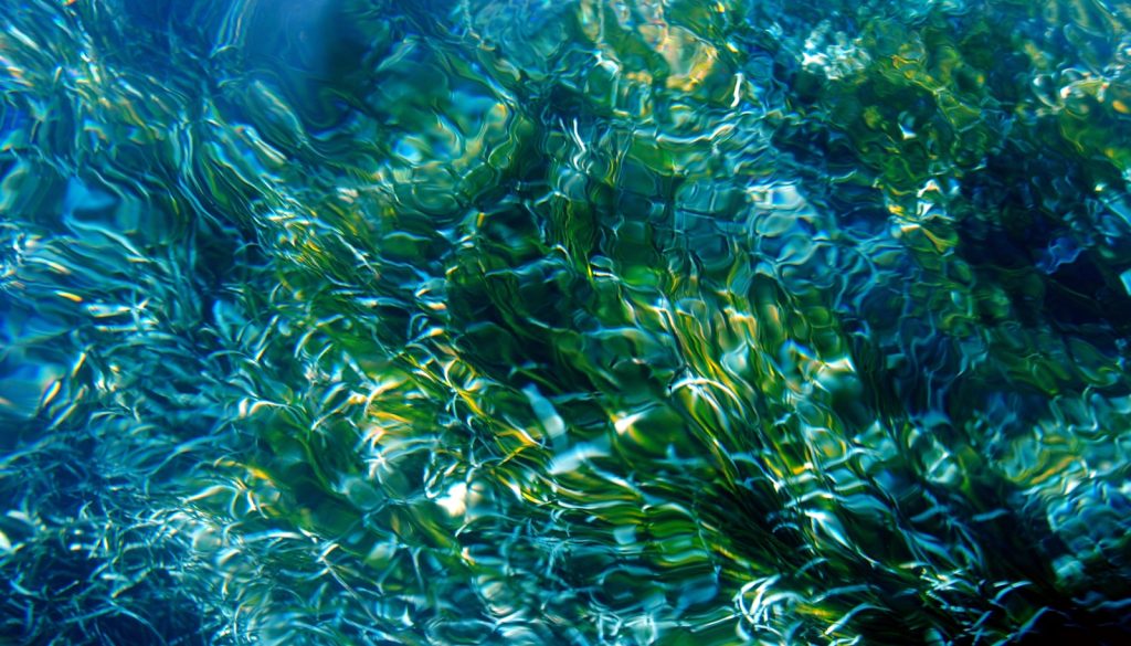 Posidonia, Mallorca