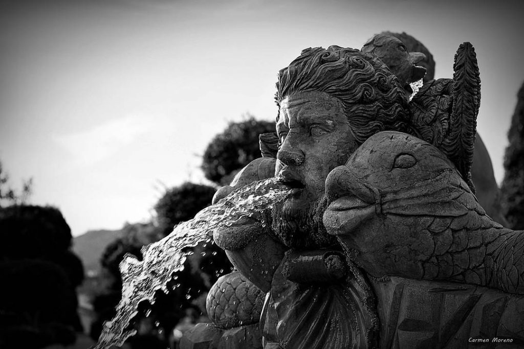 carmen.photo.art