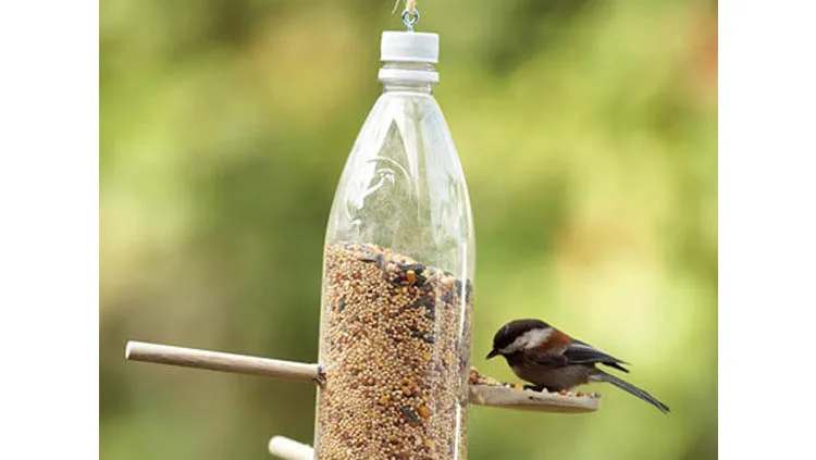 Comedero para pájaros