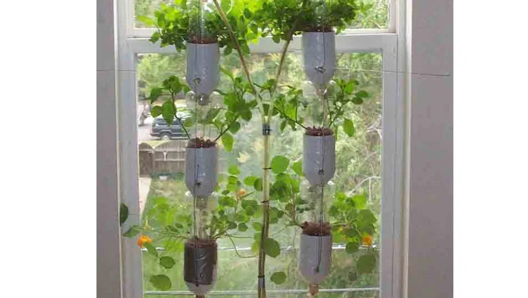 Reutilizar plastico para crear un jardín hidropónico para ventanas urbanas