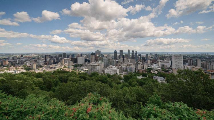 Montreal, Canadá. Ciudades con más árboles