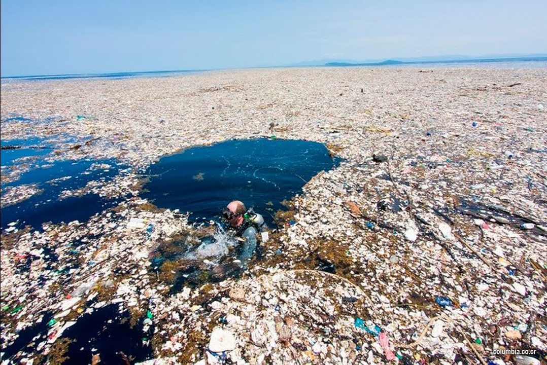 isla de basura del océano pacífico