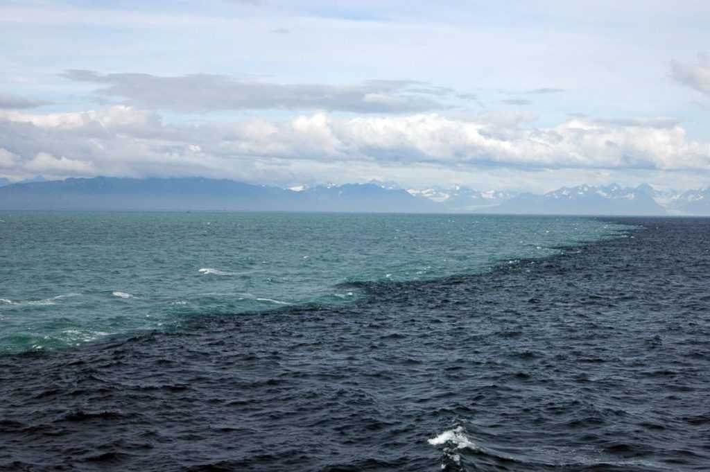 el atlantico y el pacífico son dos mares que parece que no se mezclan pero en realidad sí lo hacen