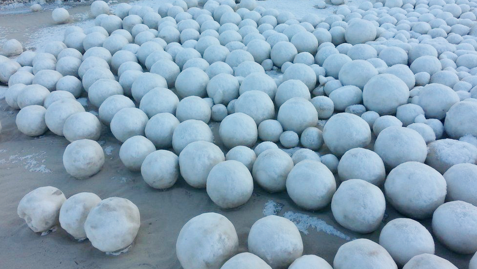 El fenómeno de las “bolas de nieve de playa” - Fundación Aquae