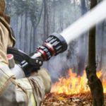 Oriol Vilalta advierte de la necesaria urgencia por tomar medidas para la prevención de incendios forestales
