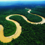 curiosidades río amazonas