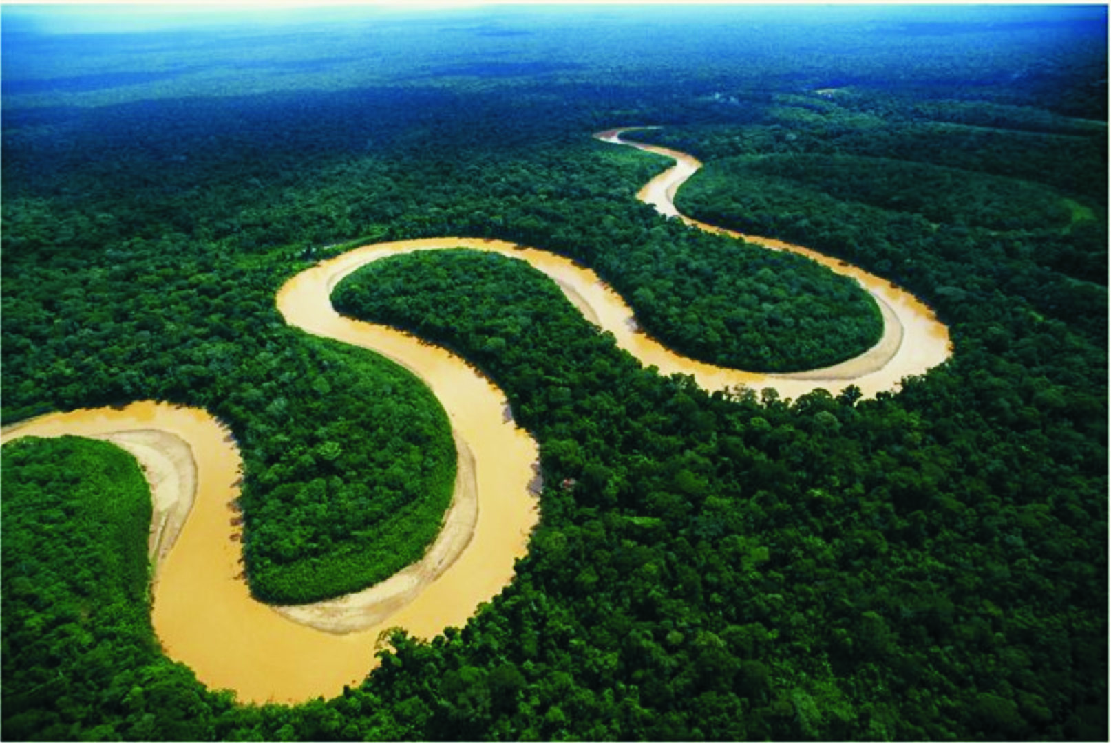 Lo que debes saber sobre el río amazonas - Fundación Aquae