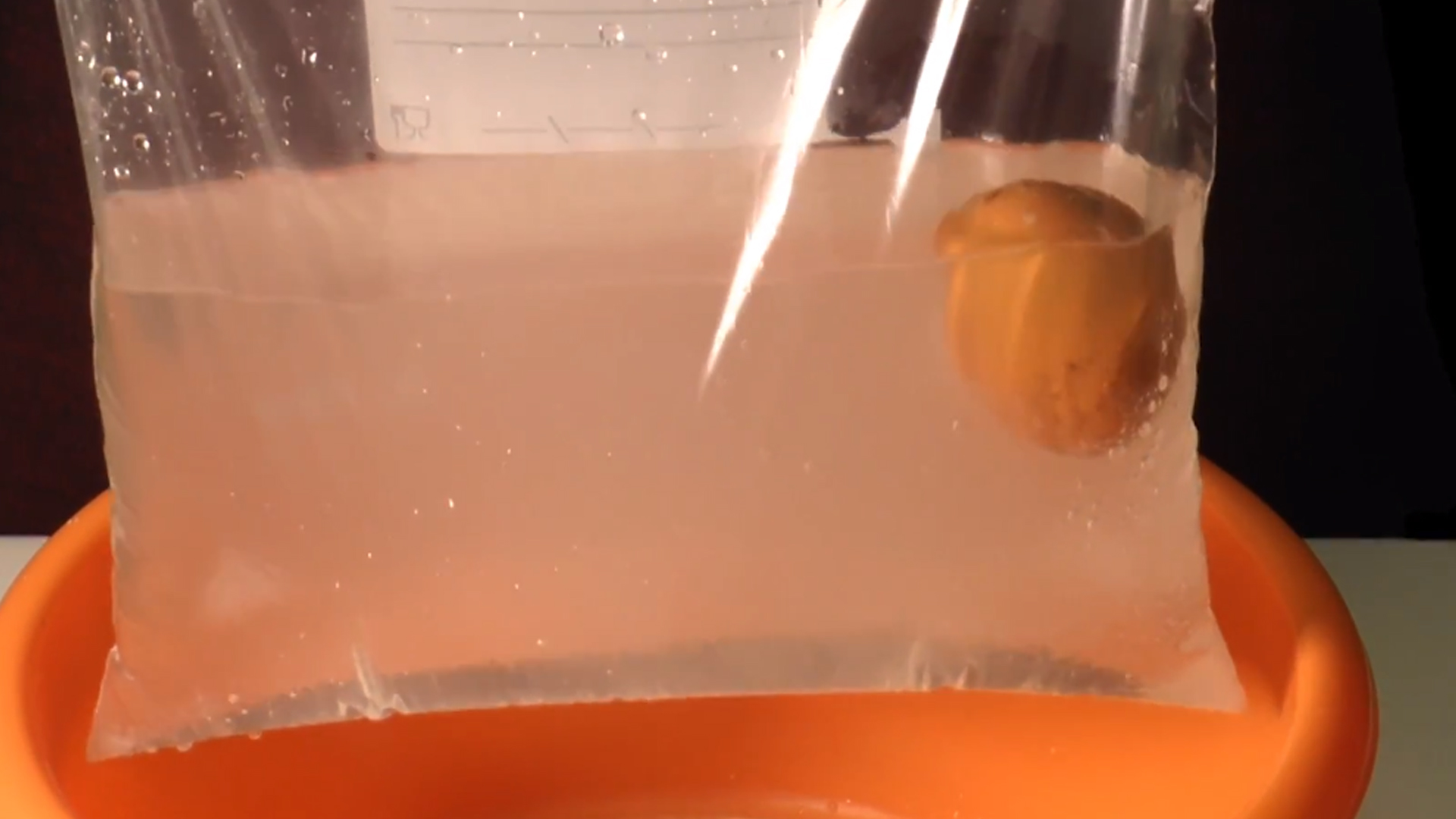 vertical Colibrí baño El huevo que no se rompe al caer: experimento - Fundación Aquae