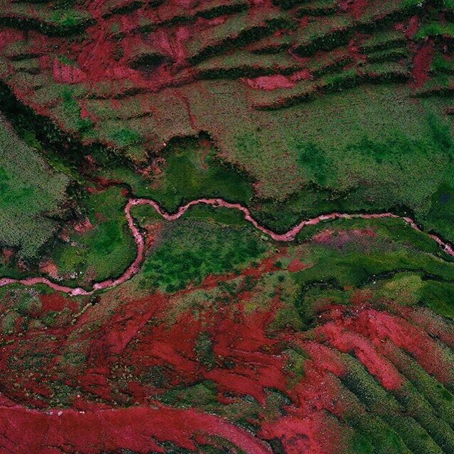 rio rojo peru y montaña de los 7 colores