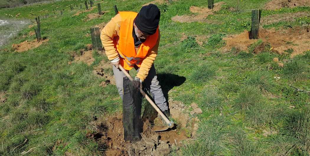 Plantamos 750 árboles en Zamora para luchar contra el cambio climático