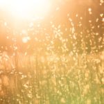 Evolución de temperatura global