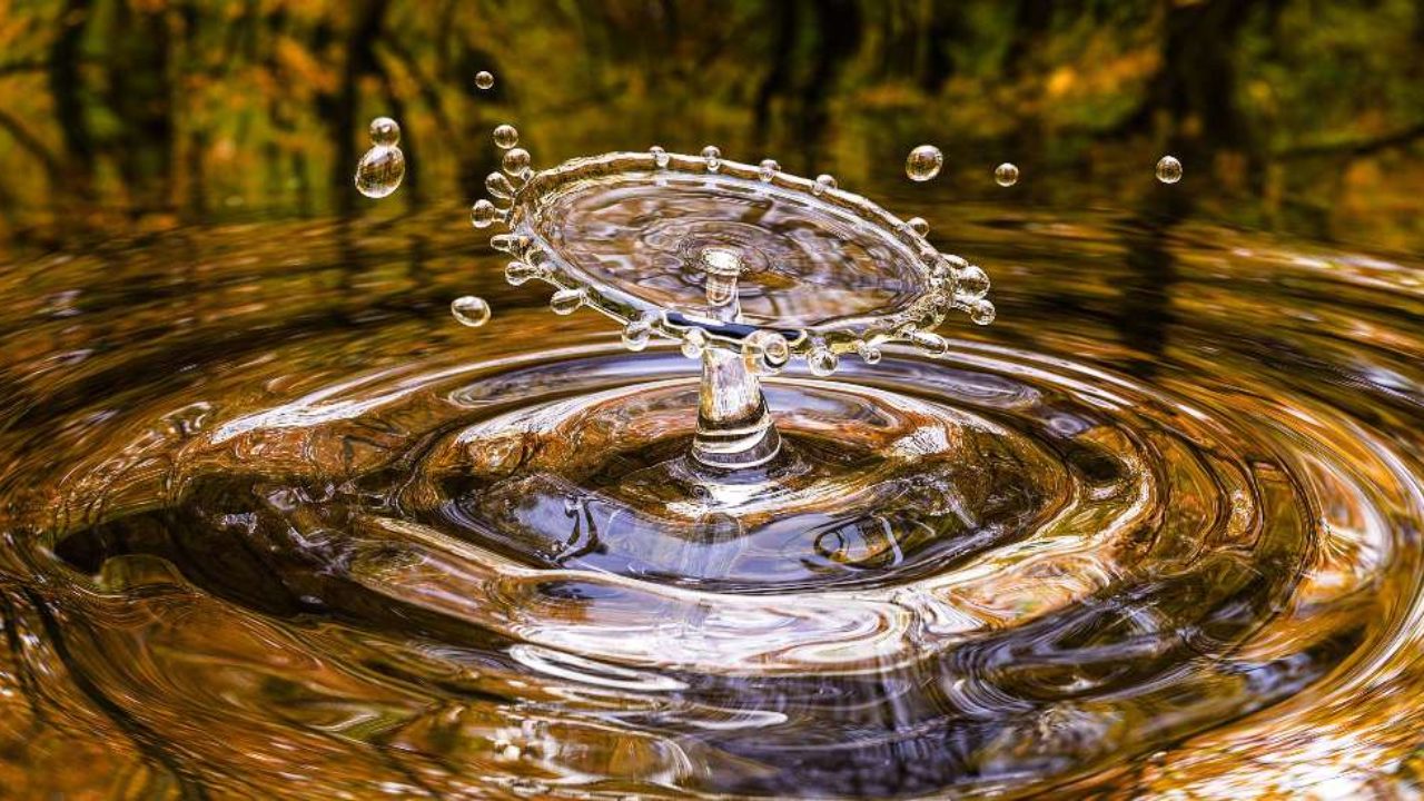 Principales características del agua | Fundación Aquae