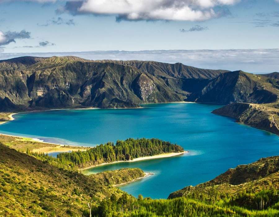 Causas de la pérdida de biodiversidad