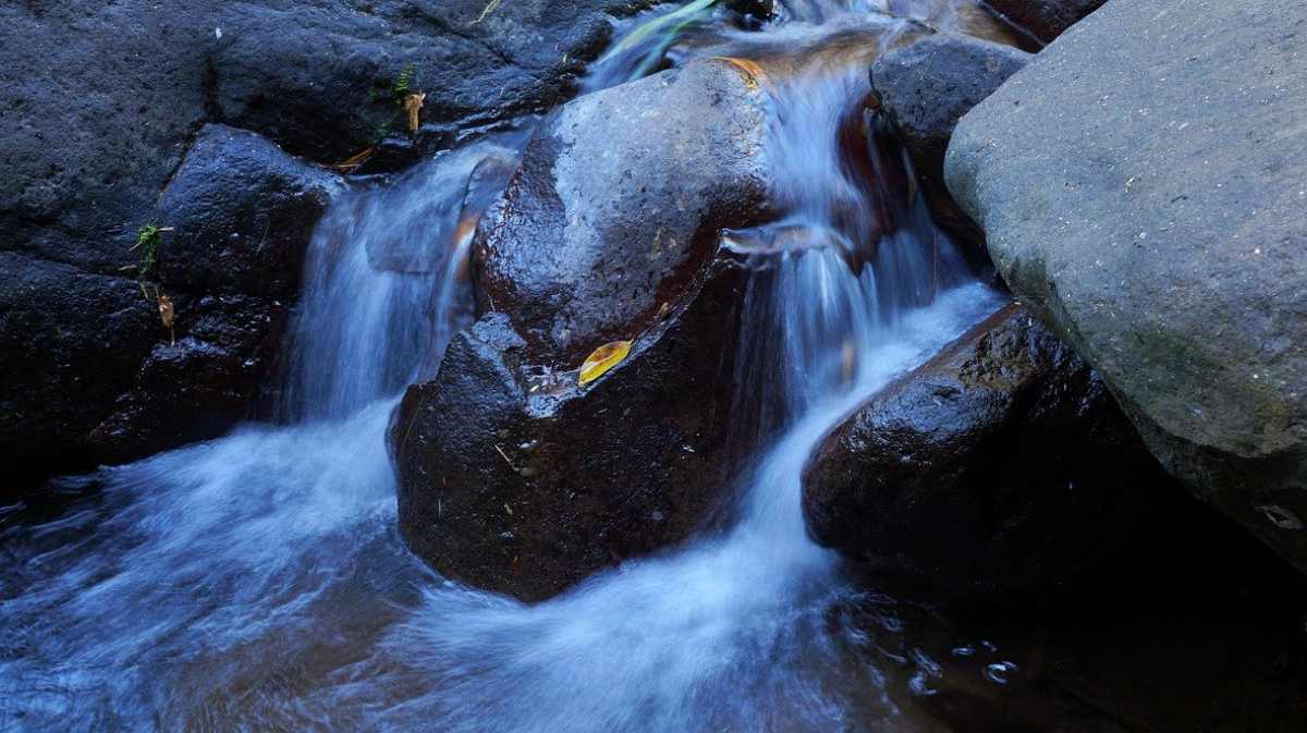 La importancia del agua para vivir - Fundación Aquae