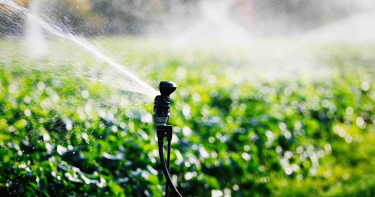 Cómo elegir el mejor sistema de riego para tu jardín - Foto 1