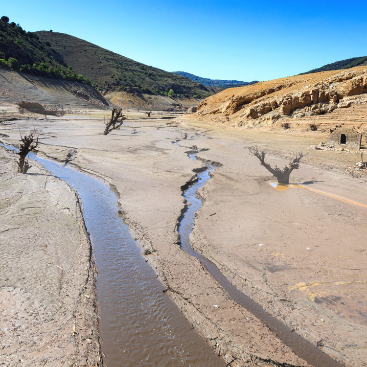 Cómo afecta el cambio climático al ciclo del agua - Fundación Aquae