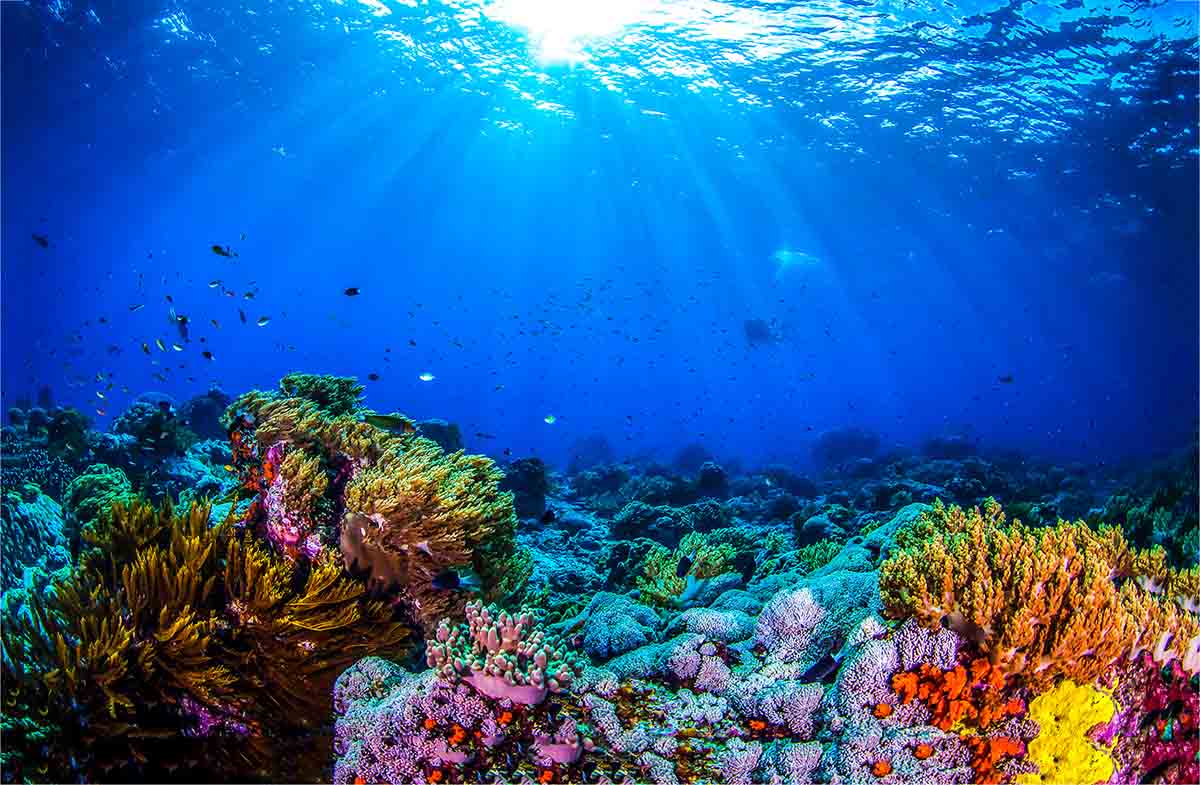 La importancia de los océanos y los mares es fundamental para mitigar los efectos del cambio climático