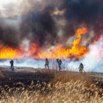 Cada vez más las consecuencias de los incendios forestales son más devastadoras convirtiendolos en megaincendios de difícil control