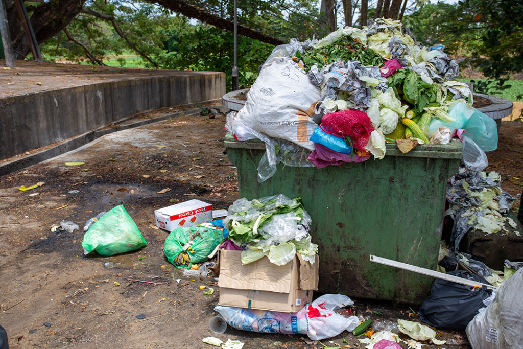 Evitar el desperdicio de alimentos supone luchar contra un problema social, pero también ambiental