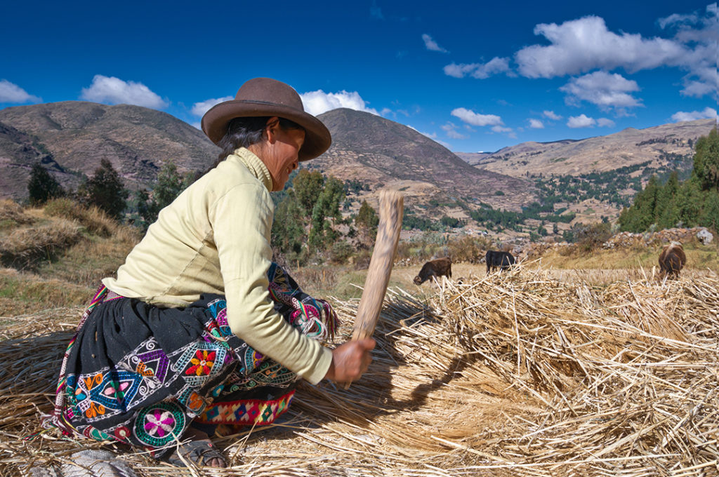 Una alianza entre el conocimiento tradicional y la ciencia supone una oportunidad para construir una sociedad más sostenible y respetuosa con el medio ambiente