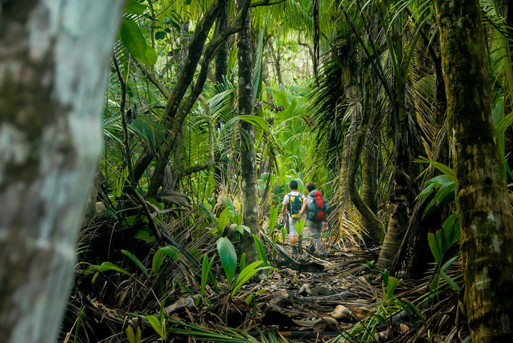 Los parques naturales de Costa Rica convierten al país en uno de los destinos estrellas del ecoturismo