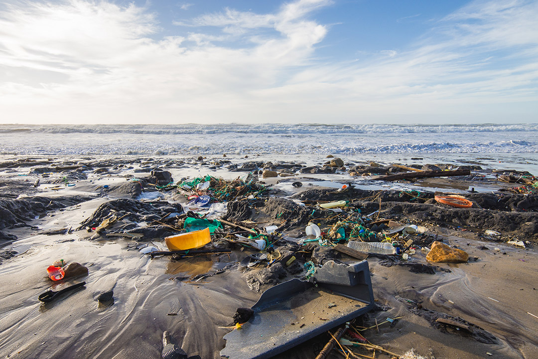 Los efectos del calentamiento global y la contaminación de mares y océanos repercuten seriamente en la salud de estos ecosistemas y las especies que habitan en ellos