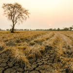 La sequía es uno de los fenómenos climatológicos más recurrentes de la zona del Corredor Seco