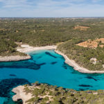 Red Natura 2000 alberga un conjunto de espacios naturales europeos con el objetivo de garantizar la supervivencia de sus espacios y hábitas que depende de estos ecosistemas