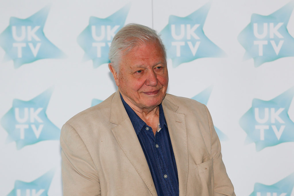 David Attenborough es uno de los naturalistas más importantes que logró predecir el cambio climático antes de que el término se viralizase