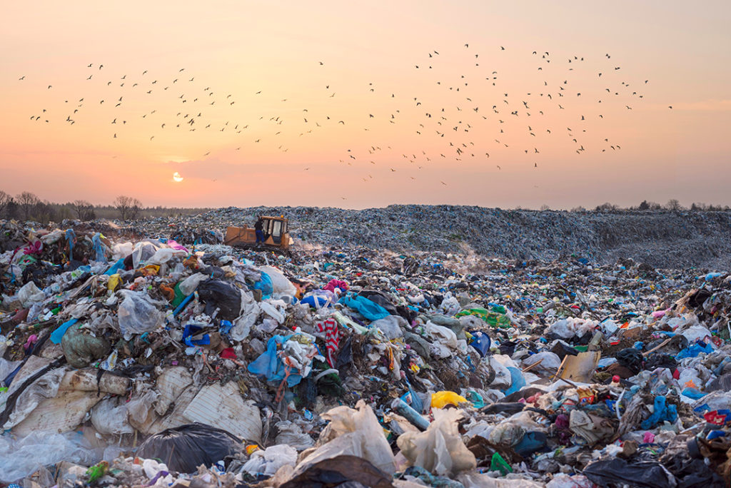 Semana Europea para la Prevención de Residuos: economía circular y residuos cero 
