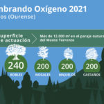 Reforestación en Muíños (Galicia) en el marco de Sembrando Oxígeno