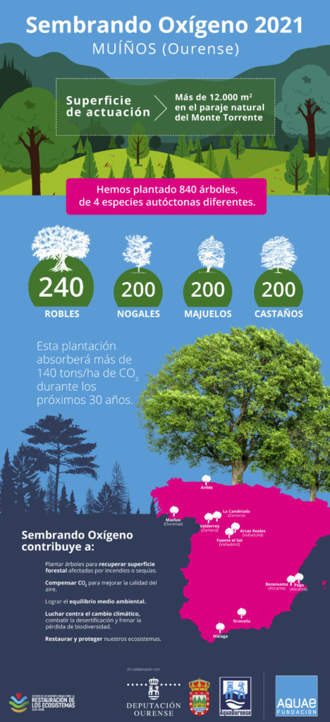 Reforestación en Muíños (Galicia) en el marco de Sembrando Oxígeno