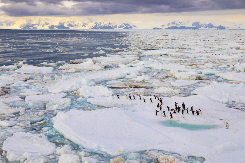 'Mar de Ross III' es una de las imágenes finalistas de PhotoAquae 