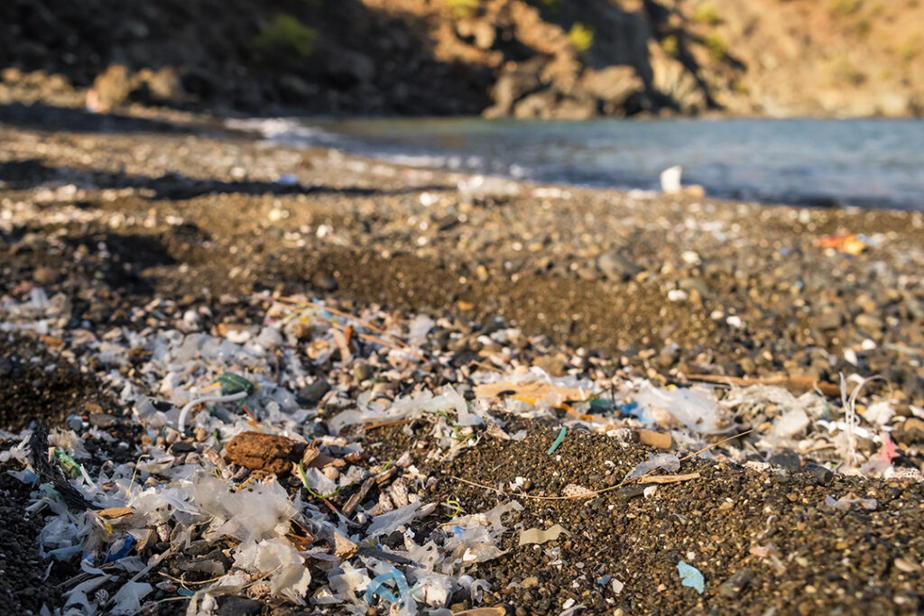 ¿Qué tipos de microplásticos perjudican el medio ambiente?
