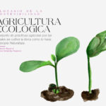 Glosario de la Sostenibilidad - Agricultura Ecológica