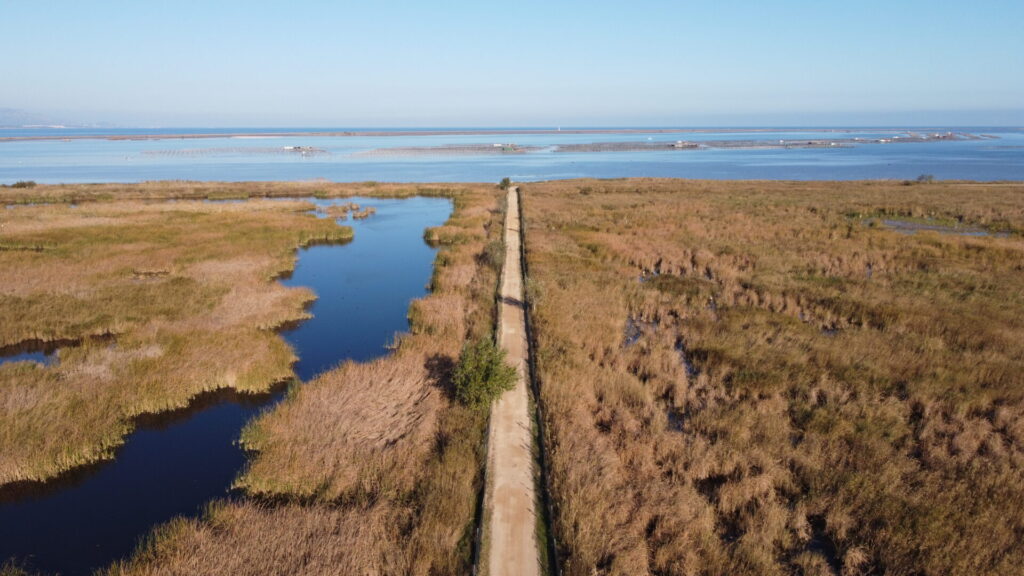 Delta del Ebro: un entorno acuático de gran valor ecológico